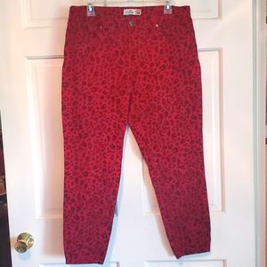 SEXY ROYALTY JEAN 16